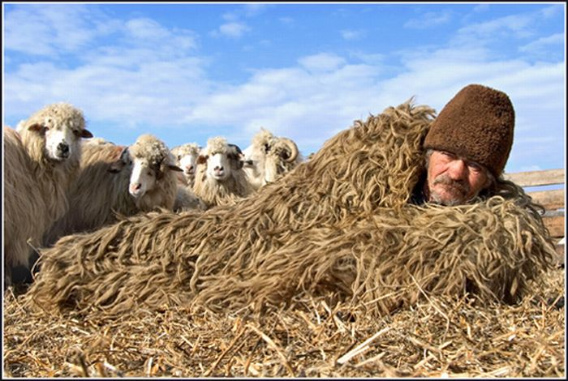 beautiful_award_winning_photos_22