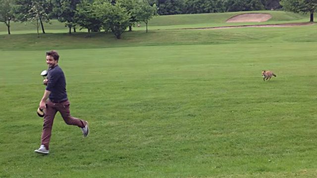 foxngolf5