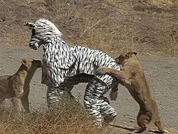 only_in_africa_22