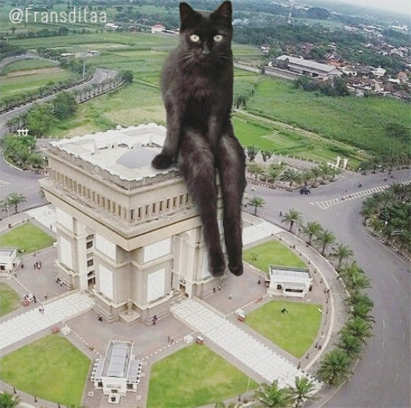 猫を巨大化させて都市景観に溶け込ませてみた。ちょっとアリだと思った。
