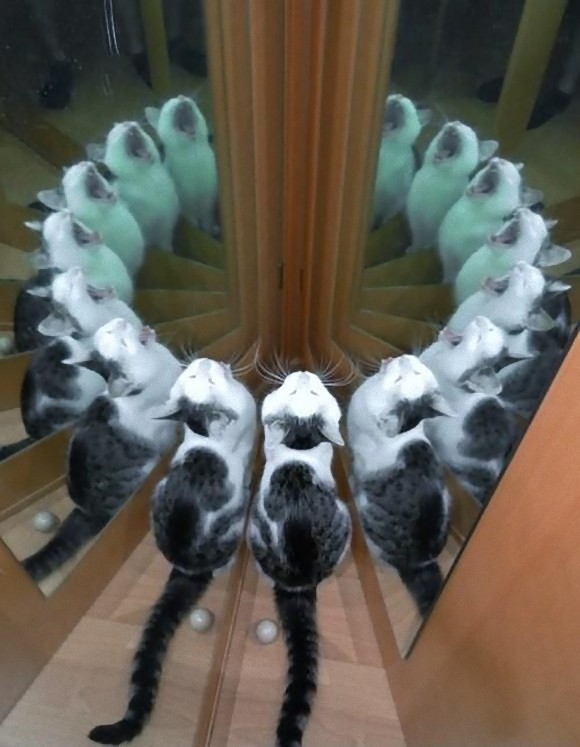 9_e0