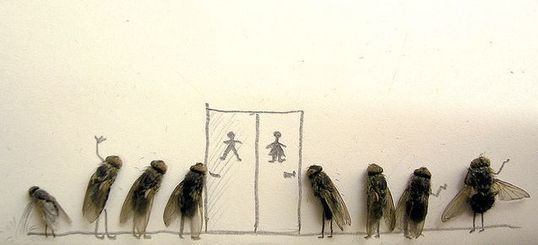 dead_flies_07