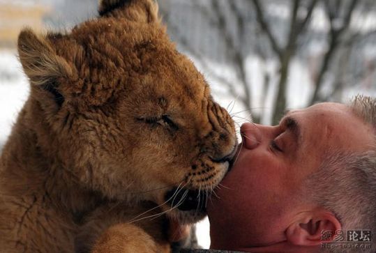 lion_and_man_04
