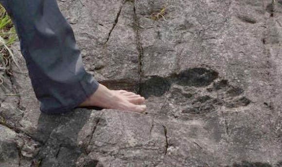 その足のサイズ57cm。中国で巨人のものと思われる巨大な足跡が発見される。