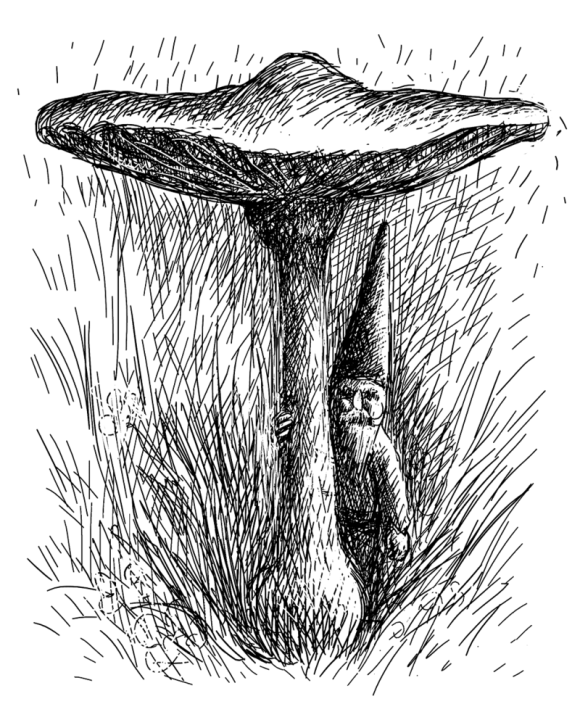 4_e