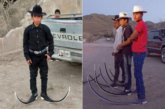 meanwhile_in_south_america_28