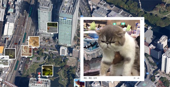 ご近所に住んでいる猫を写真付きで見ることができるグーグルマップ位置情報を利用した世界猫地図「I Know Where Your Cat Lives」