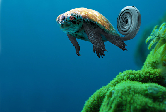 wfdj_A_Wild_Squirtle_Appears_by_Ikioi