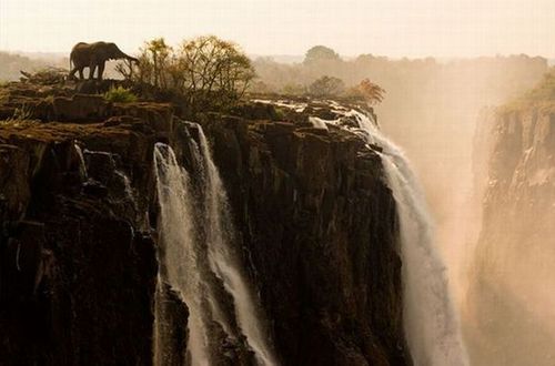 national_geographic_moments_32