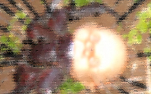 b74a2945