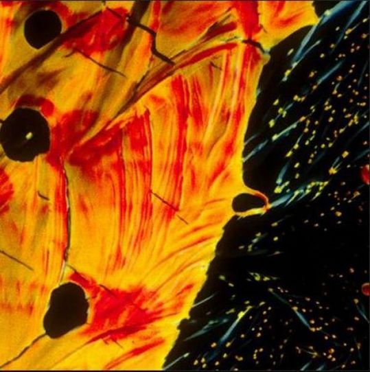 alcoholic_cocktails_under_microscope_07