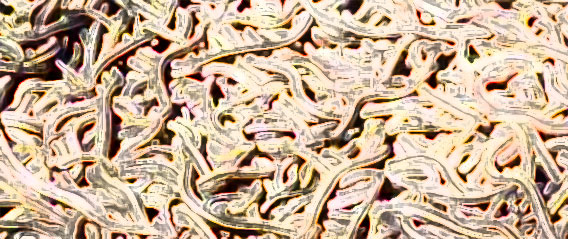 隊長！地面が見えません！５万匹にも及ぶガータースネークが密集して作り上げたヘビのカーペット