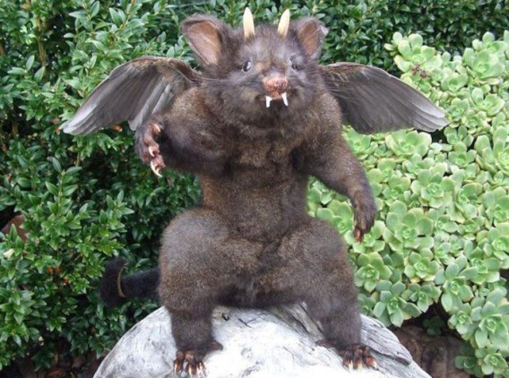 taxidermist_27_e