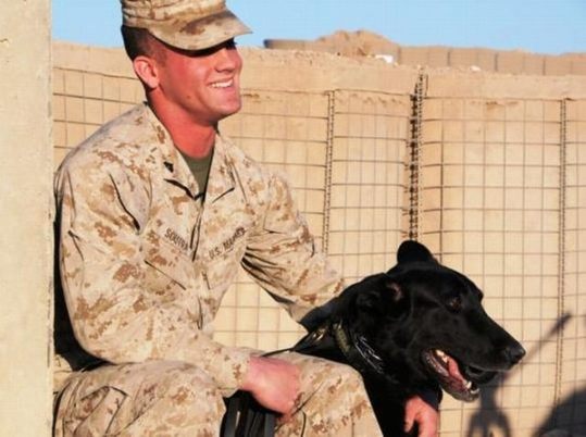 dogs_in_army_14