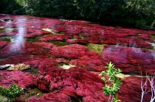 rainbow_river_20