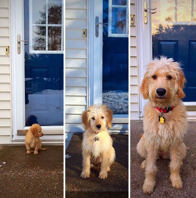 beforeafter6_e