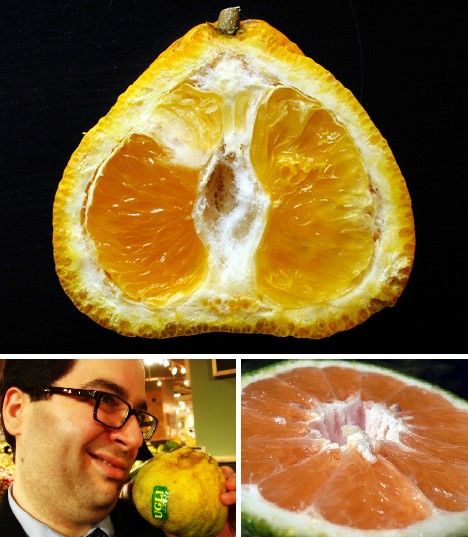 amazing_fruits_7x