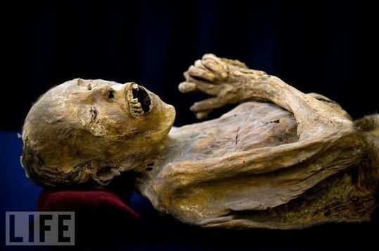 amazing_mummies_11