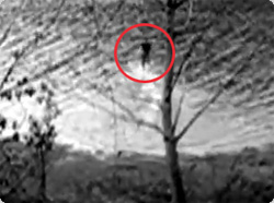 水面を颯爽と走ることができる人間が存在した！？