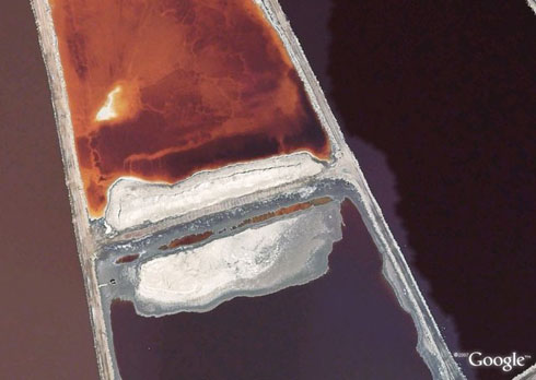 salt134