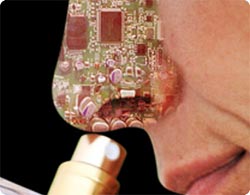 ヒトは異性を無意識に「嗅ぎ分ける」（最新研究）