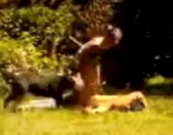 リアルGTAごっこをしてたら犬が心配して駆けつけてきたでござる