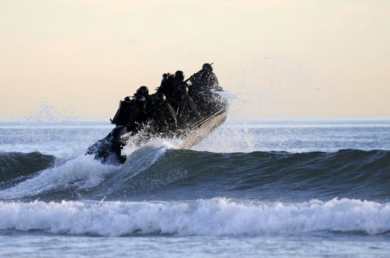 seals_22