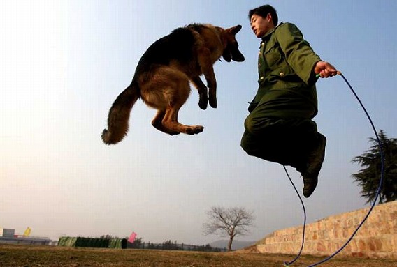 military_humor_part_2_640_61