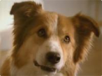 人間界と自然界、こんなにもリンクしている。「We are all connected」