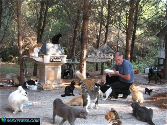 cat-rancho-08