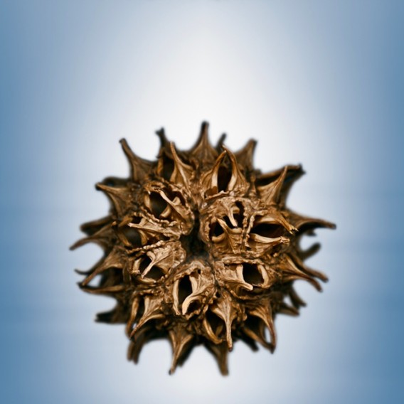 18_e5