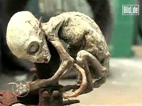 alien-37_e