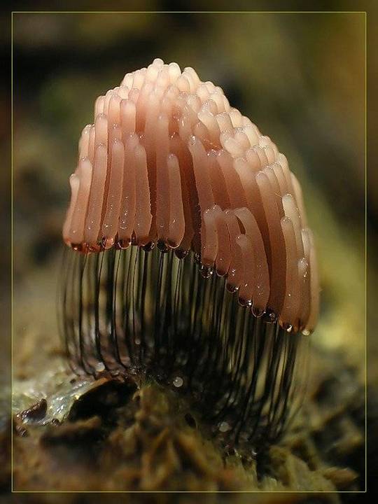Micro_02