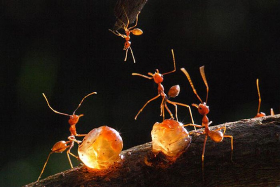 beautiful_award_winning_photos_05