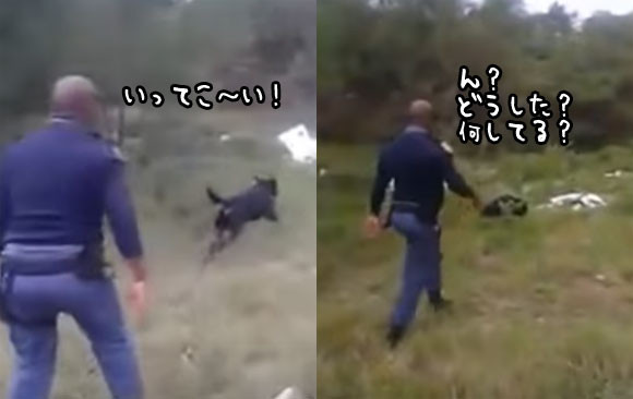 警察犬の訓練風景。犬が何かを捕えた！それを見た警察官のリアクションがマジドリフ（南アフリカ）