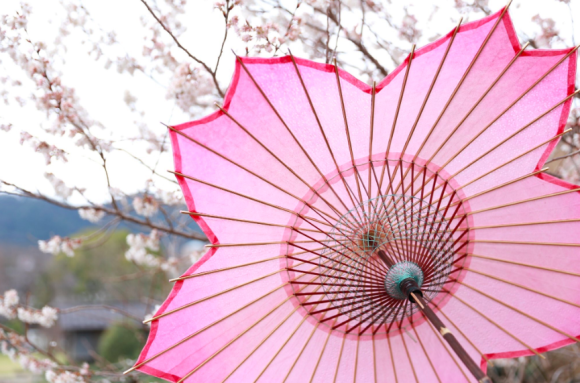 桜の花びらがモチーフ。開くとぱっと花が咲く「桜和傘」が4月1日より販売開始