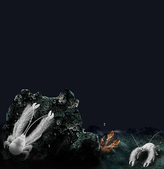 fa_l_bathy07