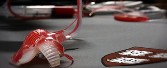 タコやイカがお手本。クネクネ動いて、周囲の環境に応じて色が変化する、やわらか擬態ロボットを開発(ハーバード大)