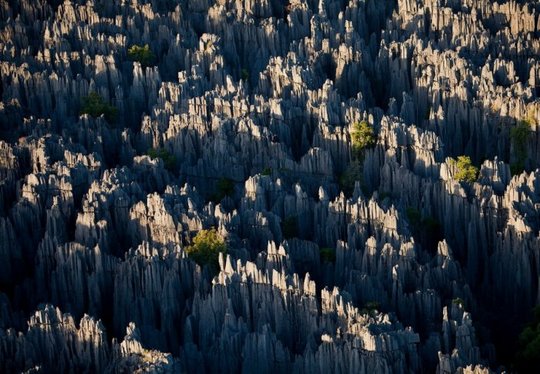 Madagascar_11