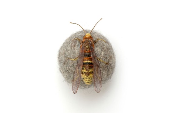 1_e101