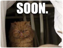 なにやらよからぬことが起こりそうな予感がする13枚の画像「SOON」