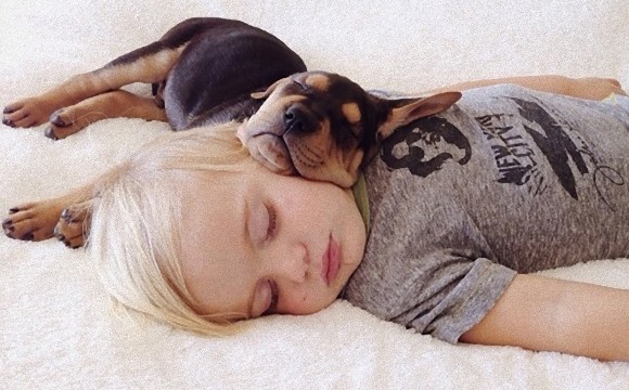 毎日一緒に寄り添いながらお昼寝する。幼い子犬と幼い息子の友情の記録写真