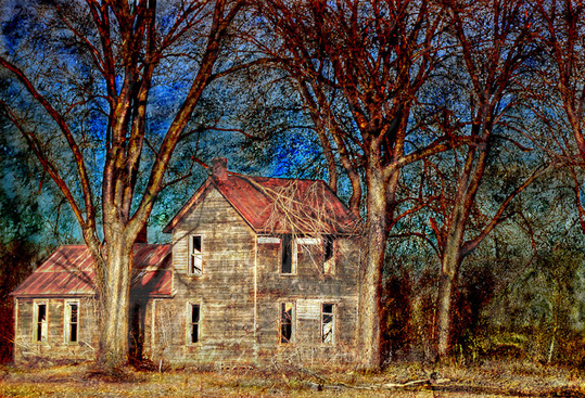 house11