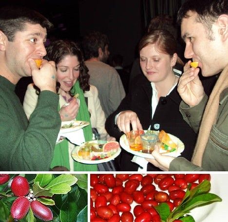 amazing_fruits_11x