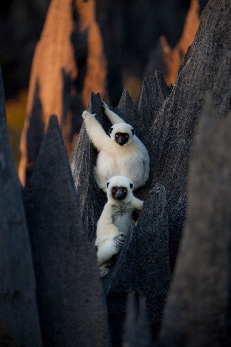 Madagascar_02