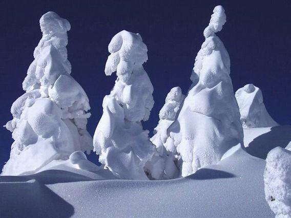 snow_23