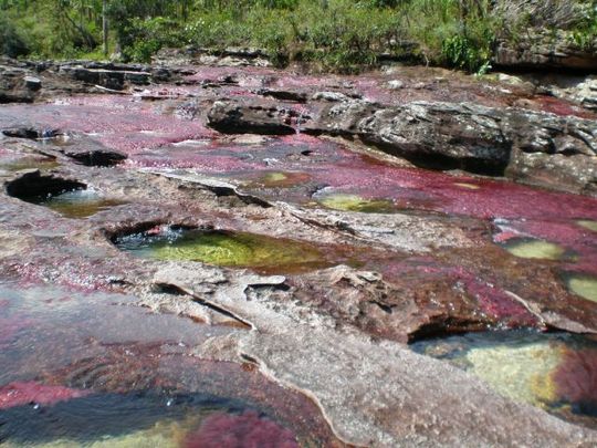rainbow_river_03