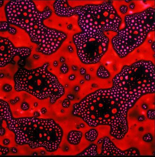alcoholic_cocktails_under_microscope_03