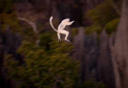Madagascar_14