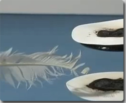 キ○カンとイ○ジンを混ぜるな危険